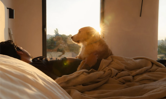 🎄 Novembertrött? Så orkar du hela vägen till julen